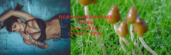 дмт Арсеньев