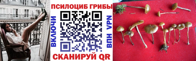 Галлюциногенные грибы ЛСД Советская Гавань